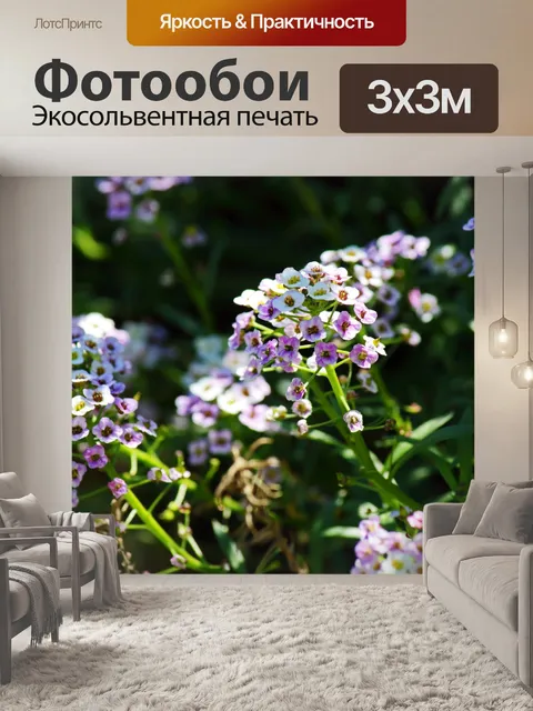 Фотообои фиолетовый оттенок на сладком аллисуме