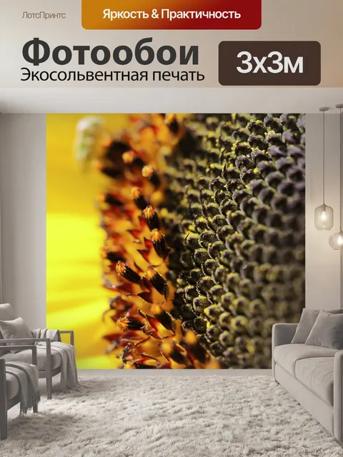 Фотообои Подсолнечник, желтый цветок, Helianthus