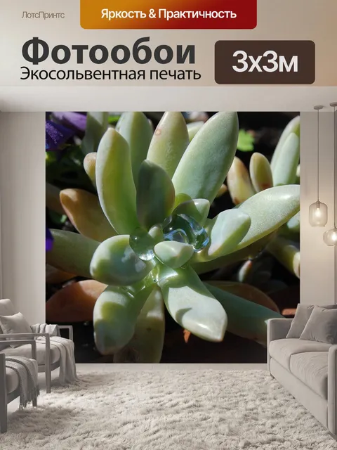 Фотообои Капли