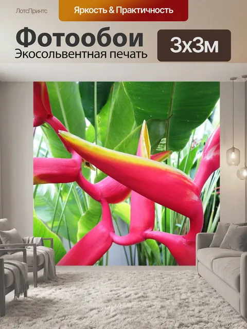 Фотообои Райская птица цветок