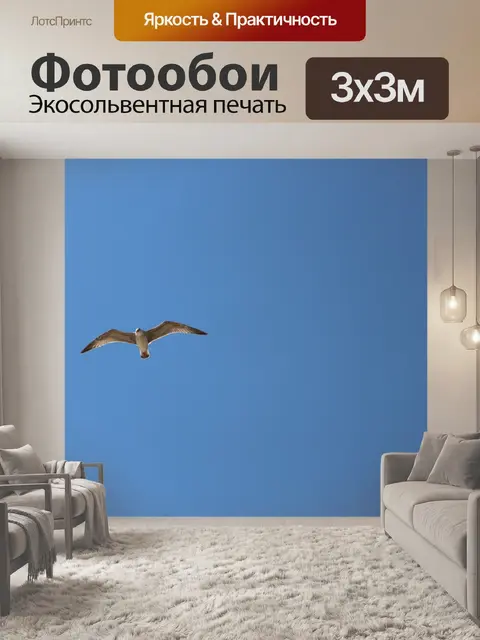 Фотообои Птица