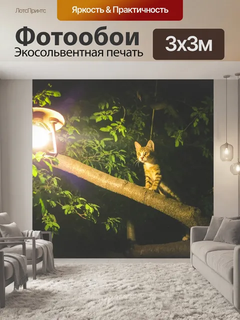 Фотообои Кошки