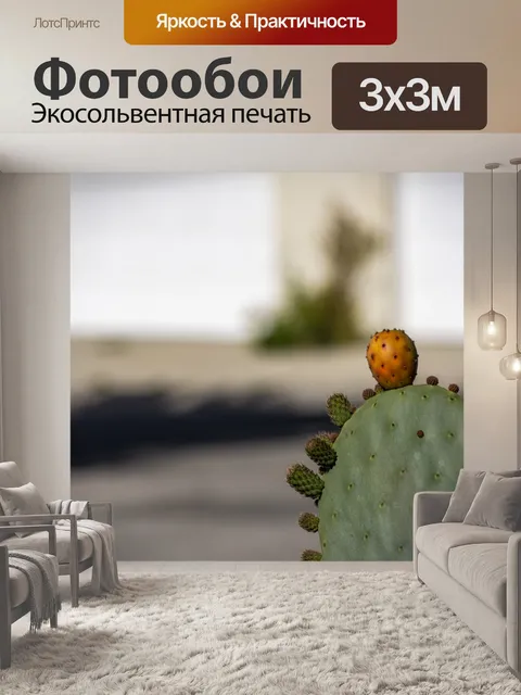 Фотообои кактус