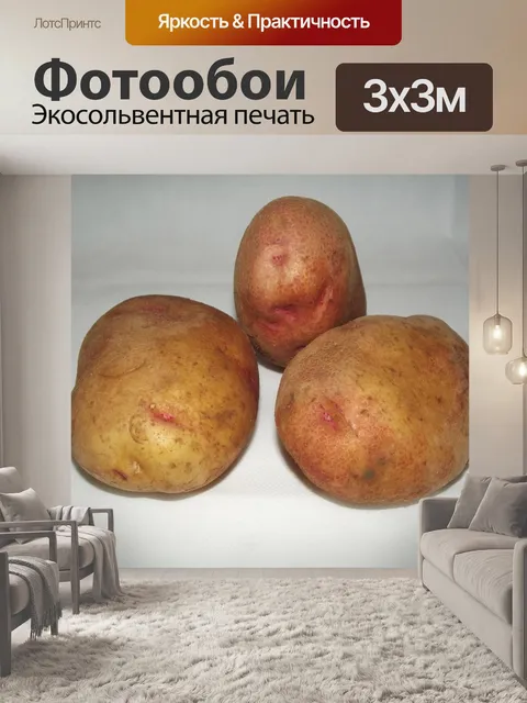Фотообои Король Эдуард картофель
