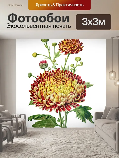 Фотообои Винтажный клипарт цветок хризантемы