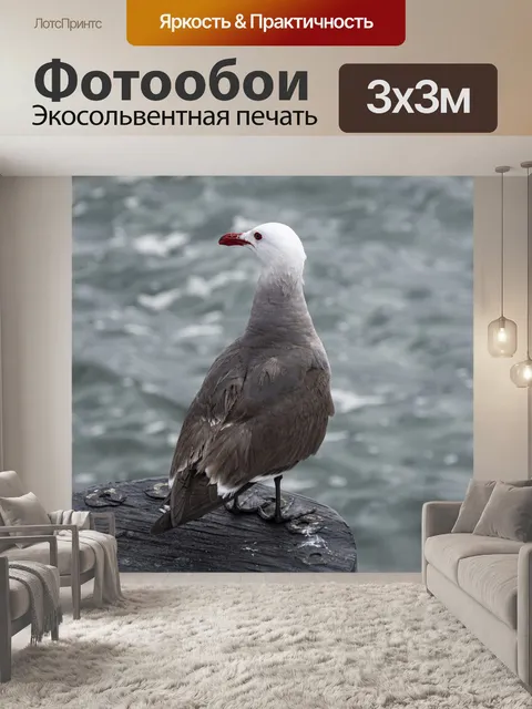 Фотообои чайка