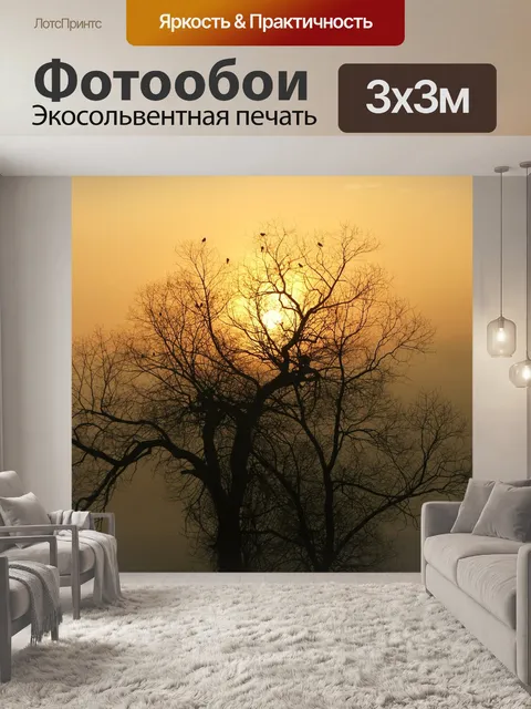 Фотообои Восход солнца