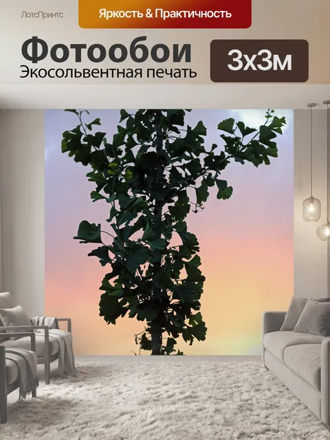 Фотообои дерево гинкго билоба на фоне заката