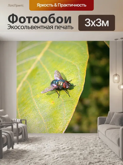 Фотообои Bluebottle