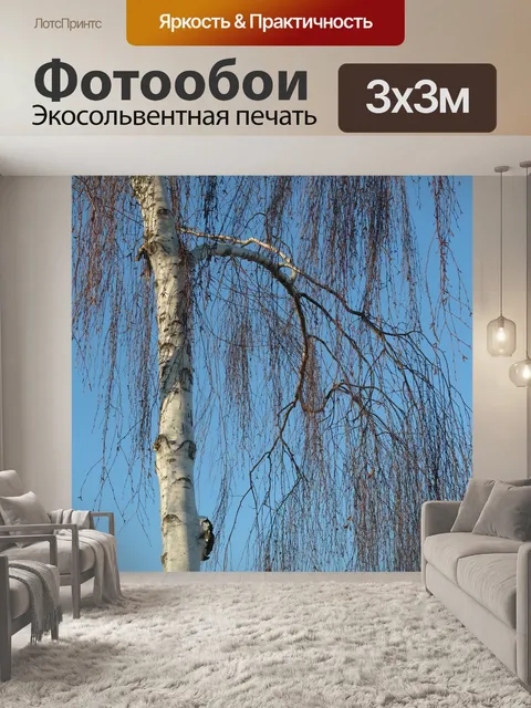 Фотообои Береза