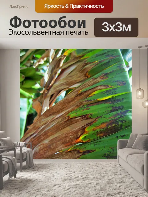 Фотообои банановые листья поджаривания