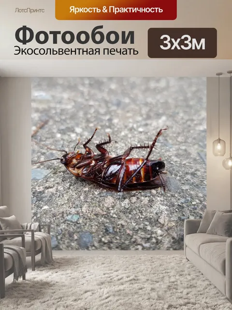 Фотообои Колесо