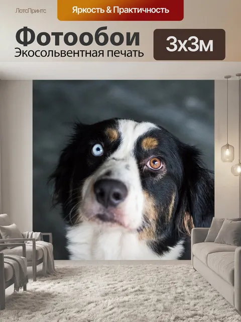 Фотообои Два