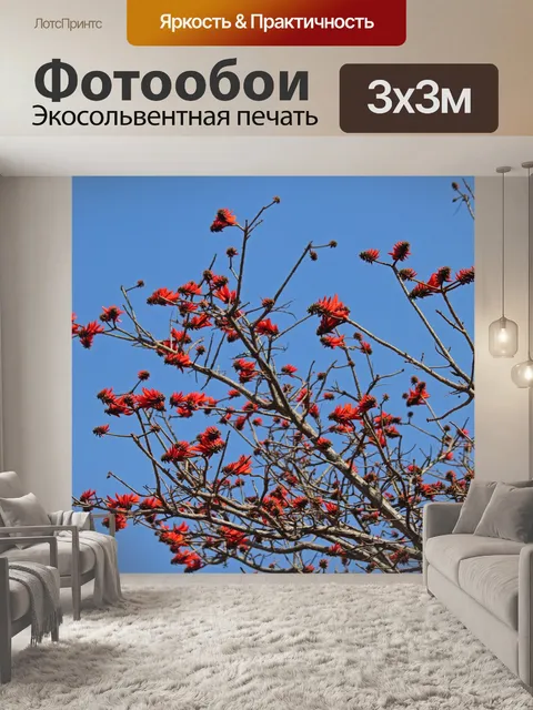 Фотообои коралловое дерево, покрытое красными цве