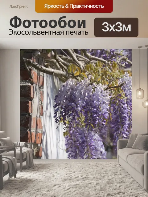 Фотообои Глициния