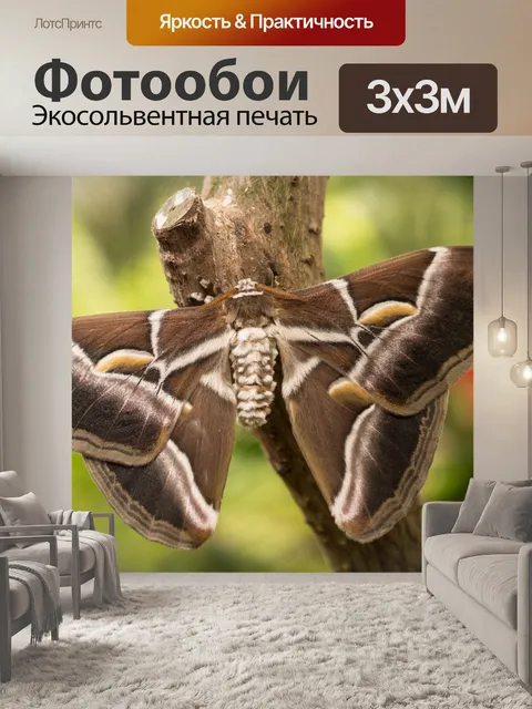 Фотообои Сад бабочек бенальмадена
