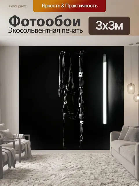 Фотообои на фоне темной стены изображен кожаный бондажный сет