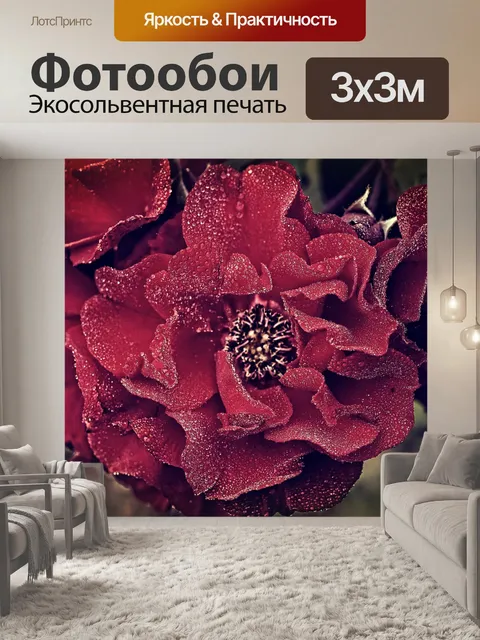 Фотообои Дикая роза красная роза цветение