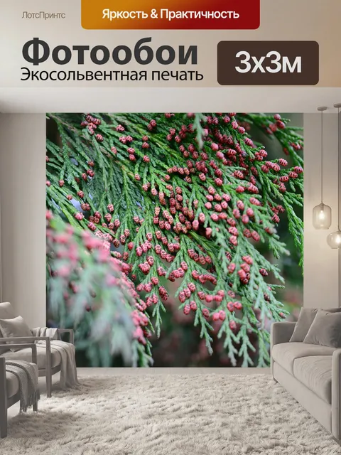 Фотообои Ель