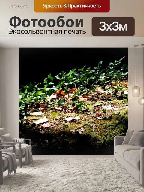 Фотообои Вьющееся растение