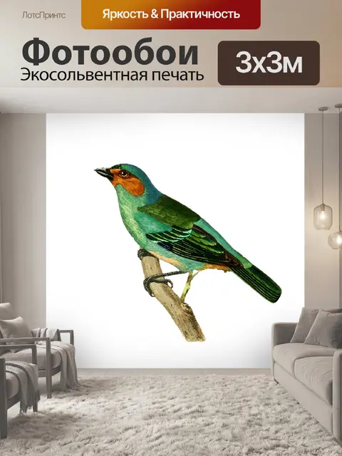 Фотообои Винтажное акварельное искусство с птицам