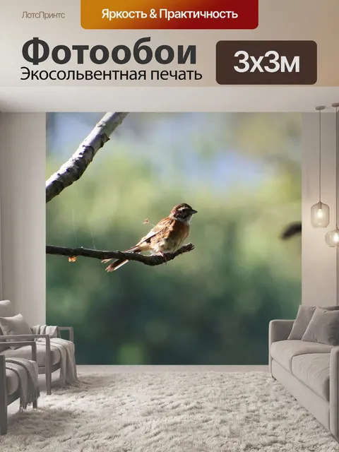Фотообои Животное