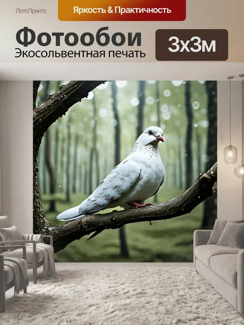 Фотообои белый голубь, сидящий на ветке дерева в лесу, покрытого росой