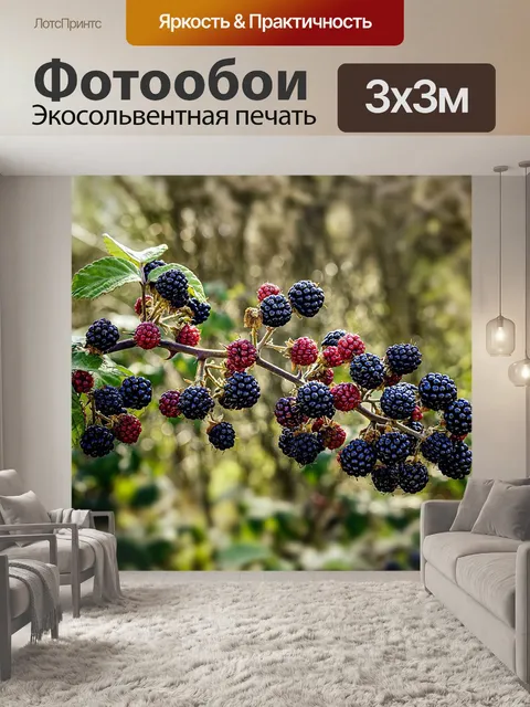 Фотообои Ягоды