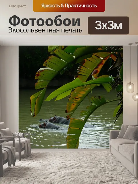 Фотообои Бегемот