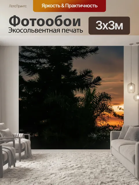 Фотообои Закат и сосны
