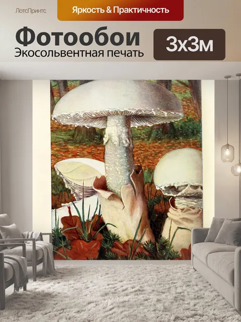 Фотообои Грибы век винтаж старый
