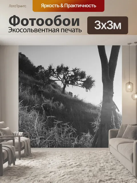 Фотообои Черно-белый