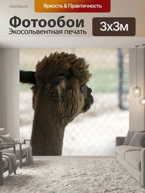 Фотообои Альпака