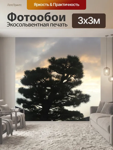 Фотообои Заход солнца