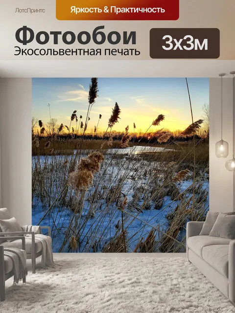 Фотообои Замороженные пруд