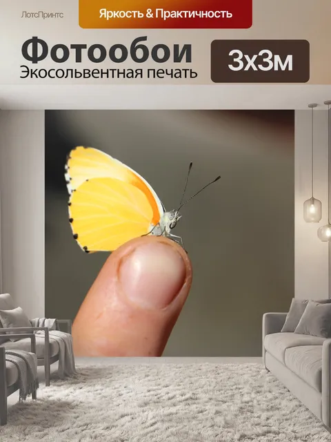 Фотообои Бабочка
