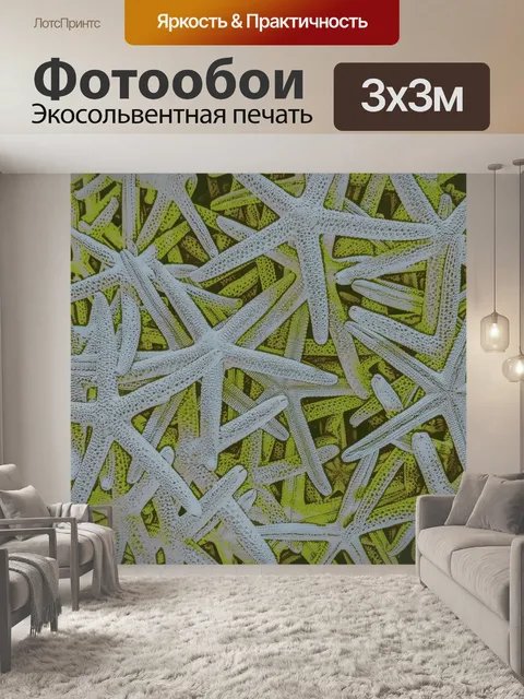 Фотообои Белый фон морской звезды