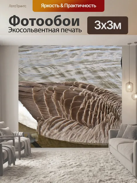 Фотообои Канадский гусь
