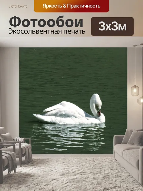 Фотообои Лебединая песня