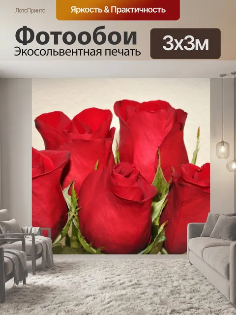 Фотообои Красные розы на белом