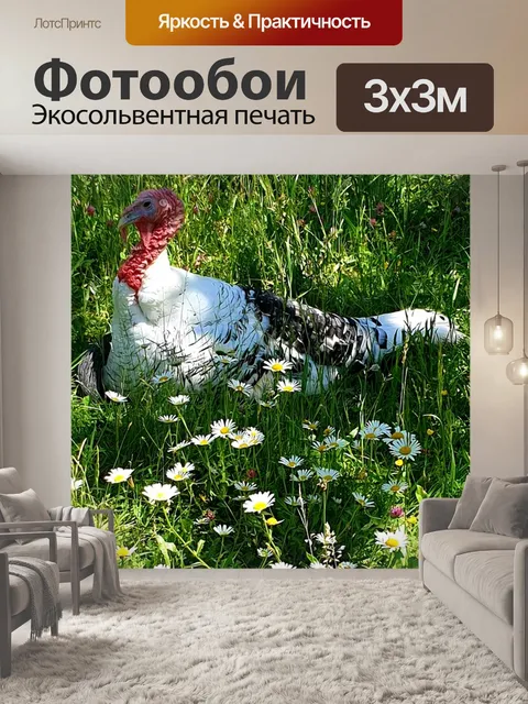 Фотообои Курица