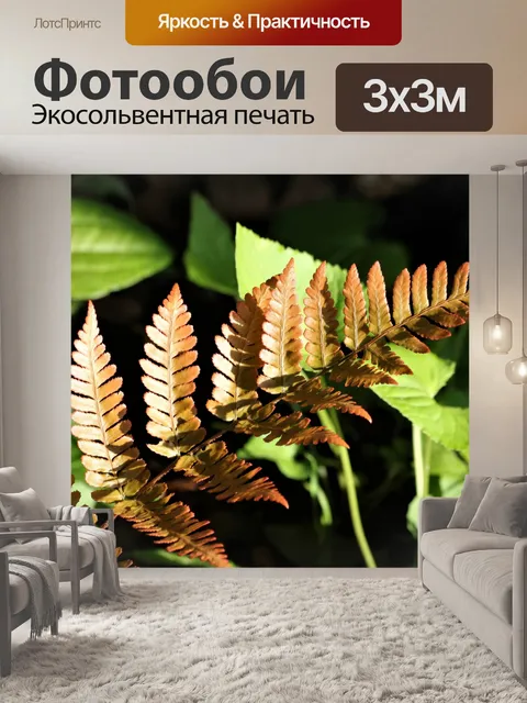 Фотообои Окрашенный в японский цвет папоротник