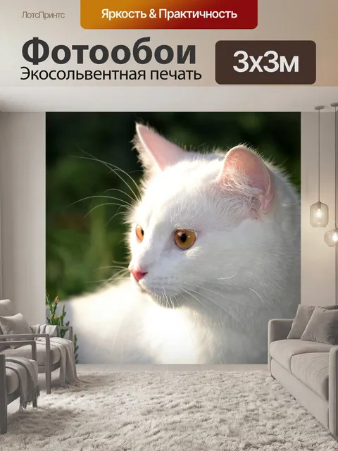 Фотообои Кот