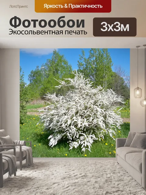 Фотообои Свадебный венок Spirea в фоновом режиме