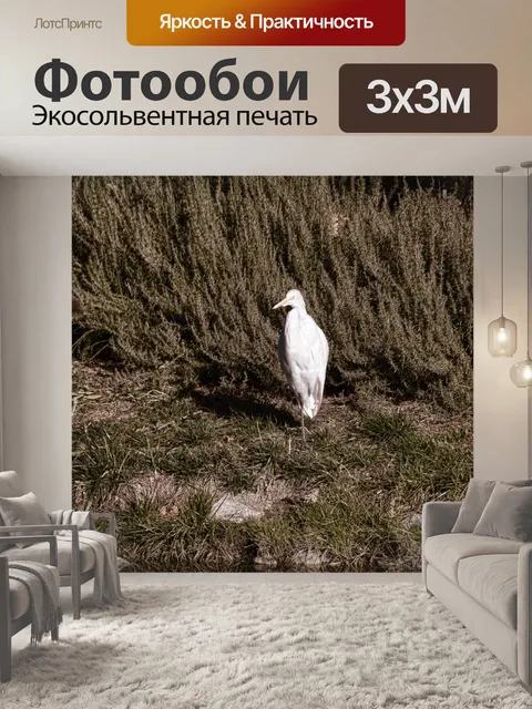 Фотообои Снежная белая цапля
