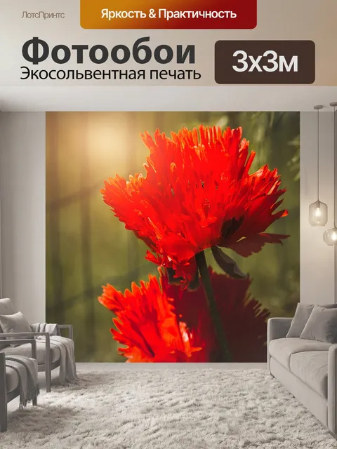 Фотообои Мак