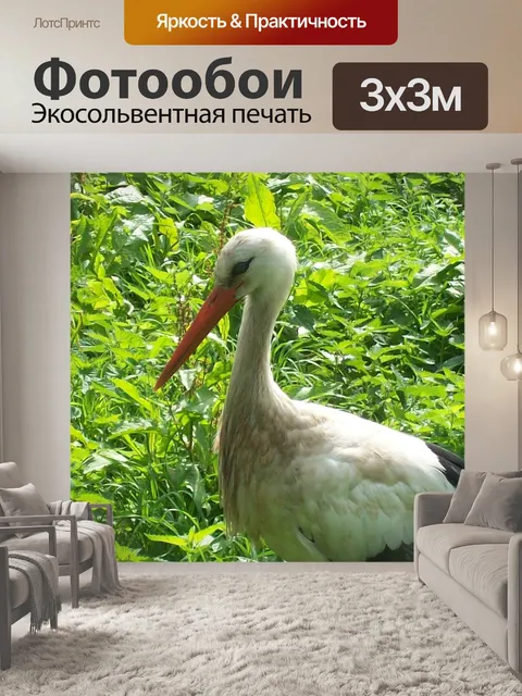 Фотообои Птицы