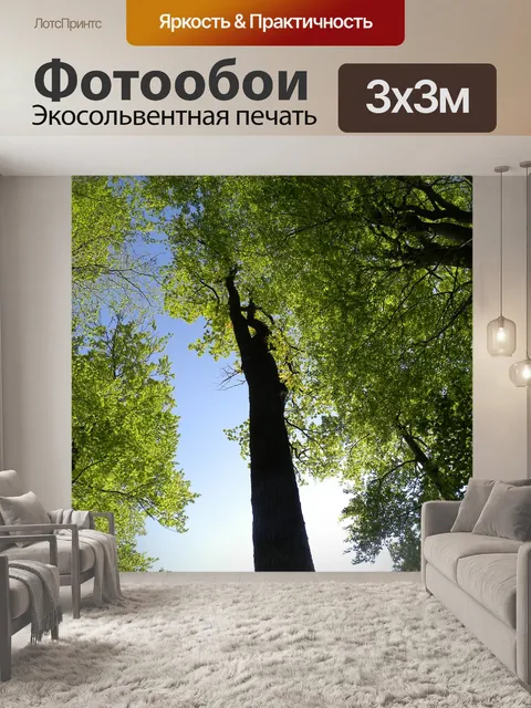 Фотообои Дерево