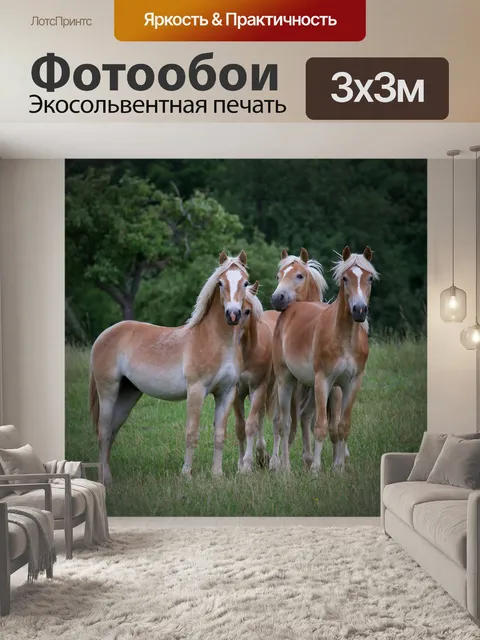 Фотообои Лошади