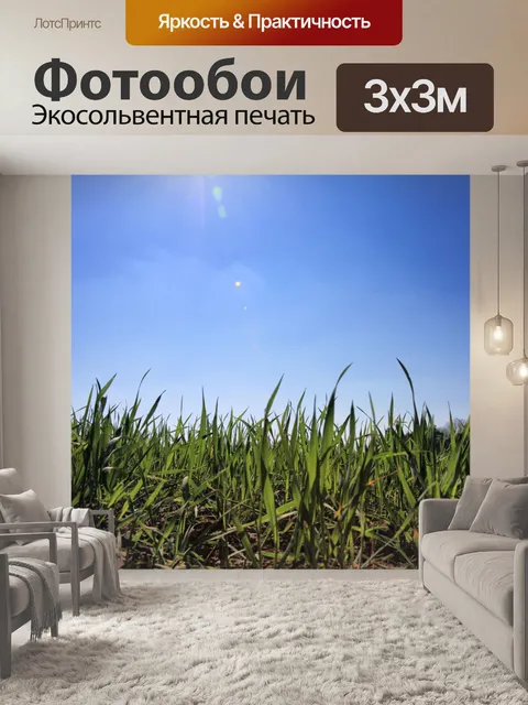 Фотообои Трава с сине sky